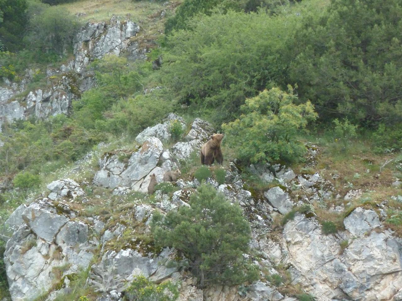 Agios Germanos Hotel Buitenkant foto