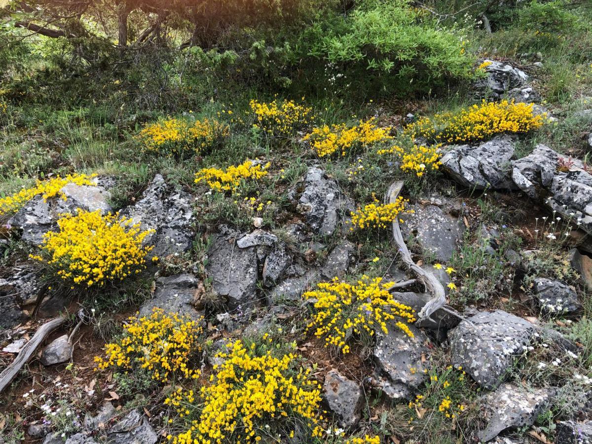 Agios Germanos Hotel Buitenkant foto